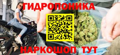 эйфоретик Краснокаменск
