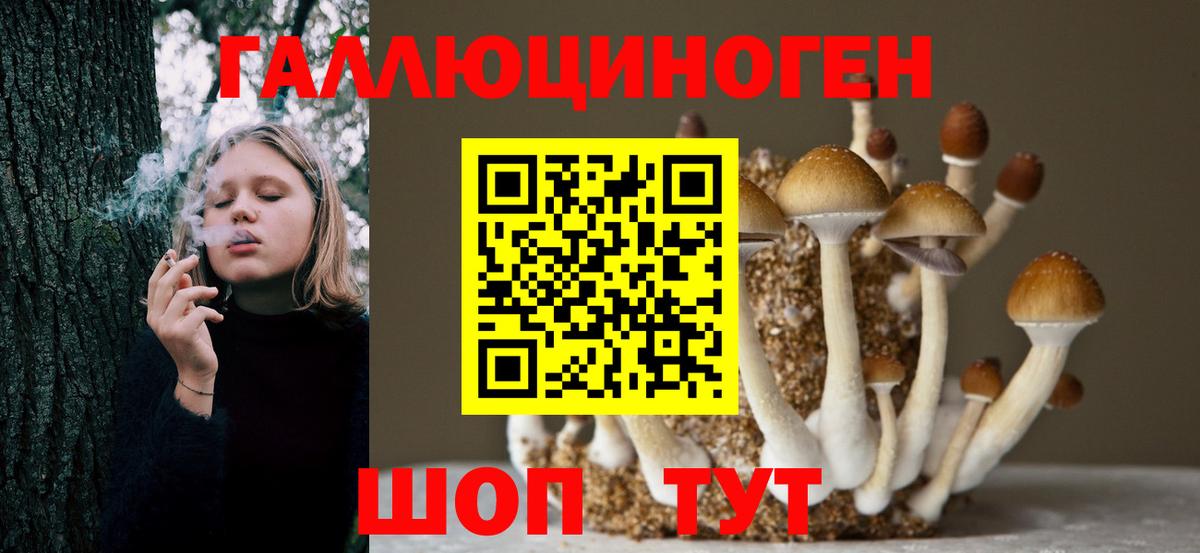 Клин  Галлюциногенные грибы Psilocybe  Вход с VPN 